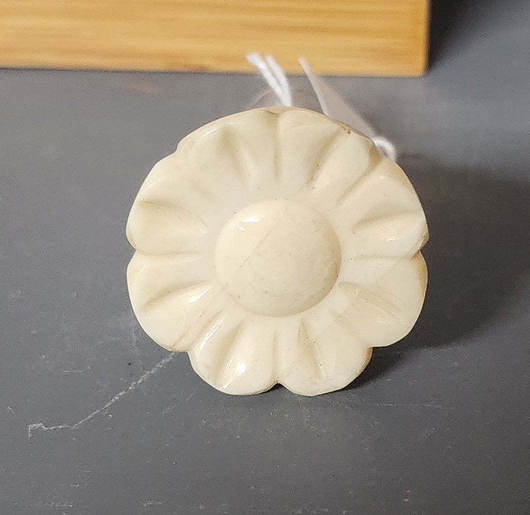 Cream  Shell Type Knobs