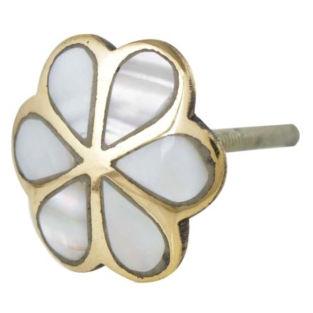 Alyssum Flower Brass Shell Knob/Pull