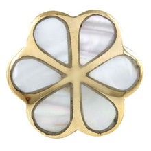 Load image into Gallery viewer, Alyssum Flower Brass Shell Knob/Pull
